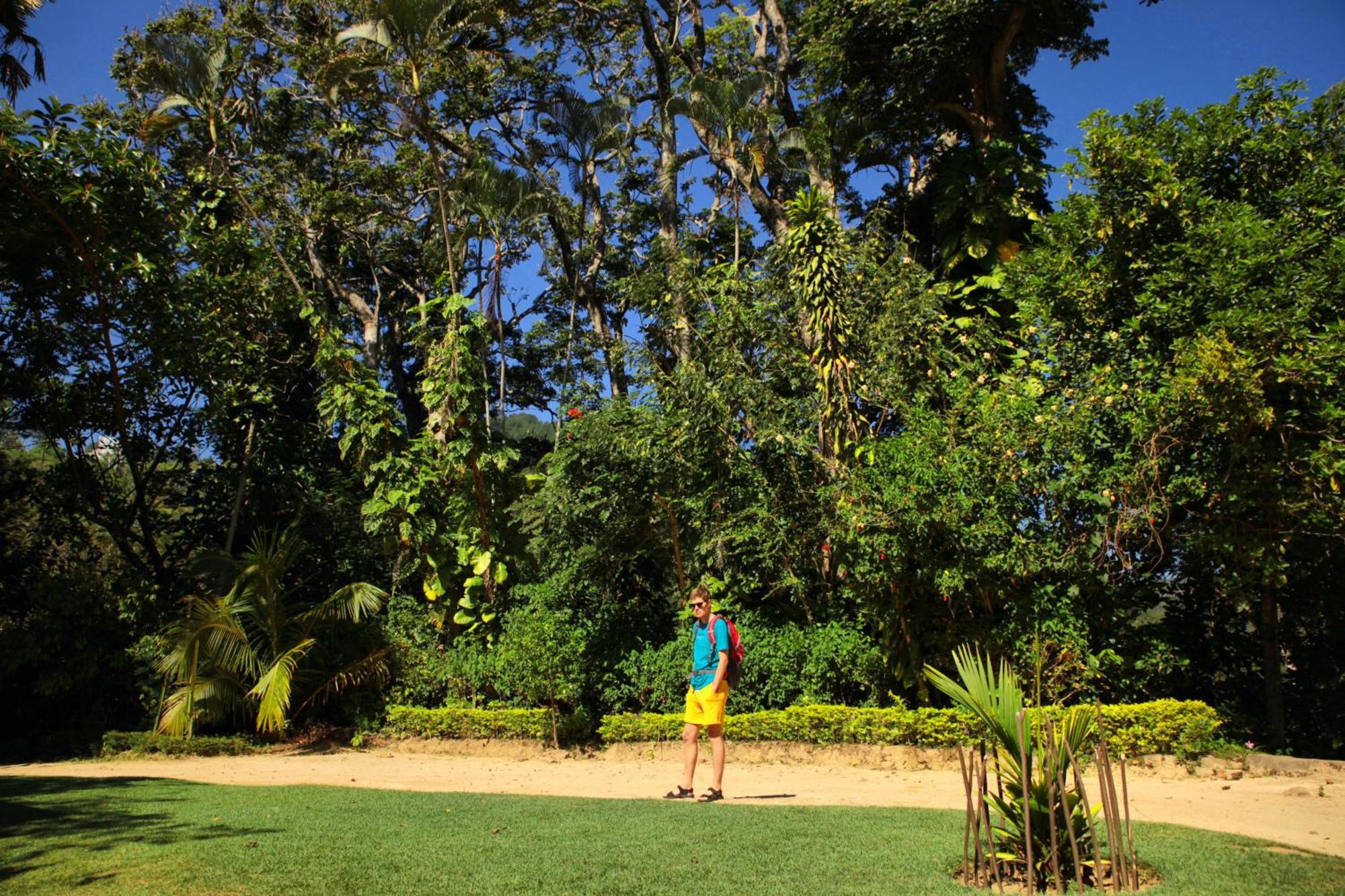 Sunnyside Holiday Bungalow เอลลา ภายนอก รูปภาพ