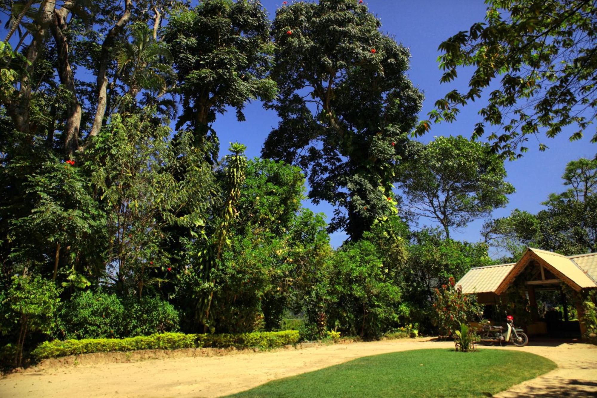 Sunnyside Holiday Bungalow เอลลา ภายนอก รูปภาพ