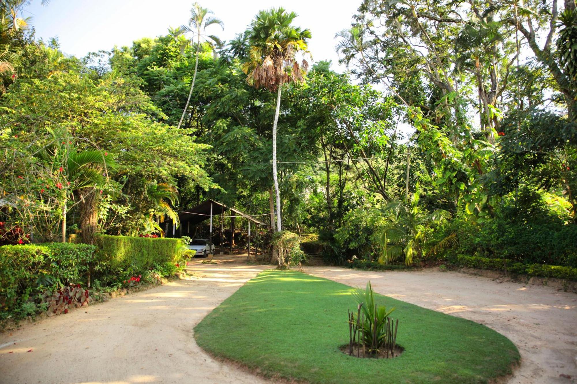 Sunnyside Holiday Bungalow เอลลา ภายนอก รูปภาพ