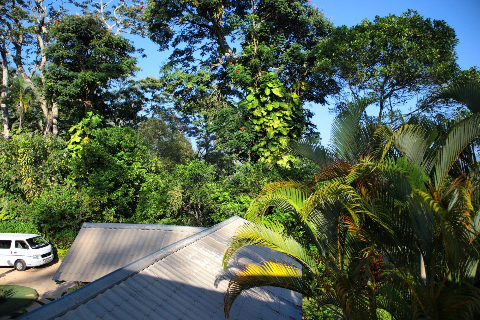 Sunnyside Holiday Bungalow เอลลา ภายนอก รูปภาพ