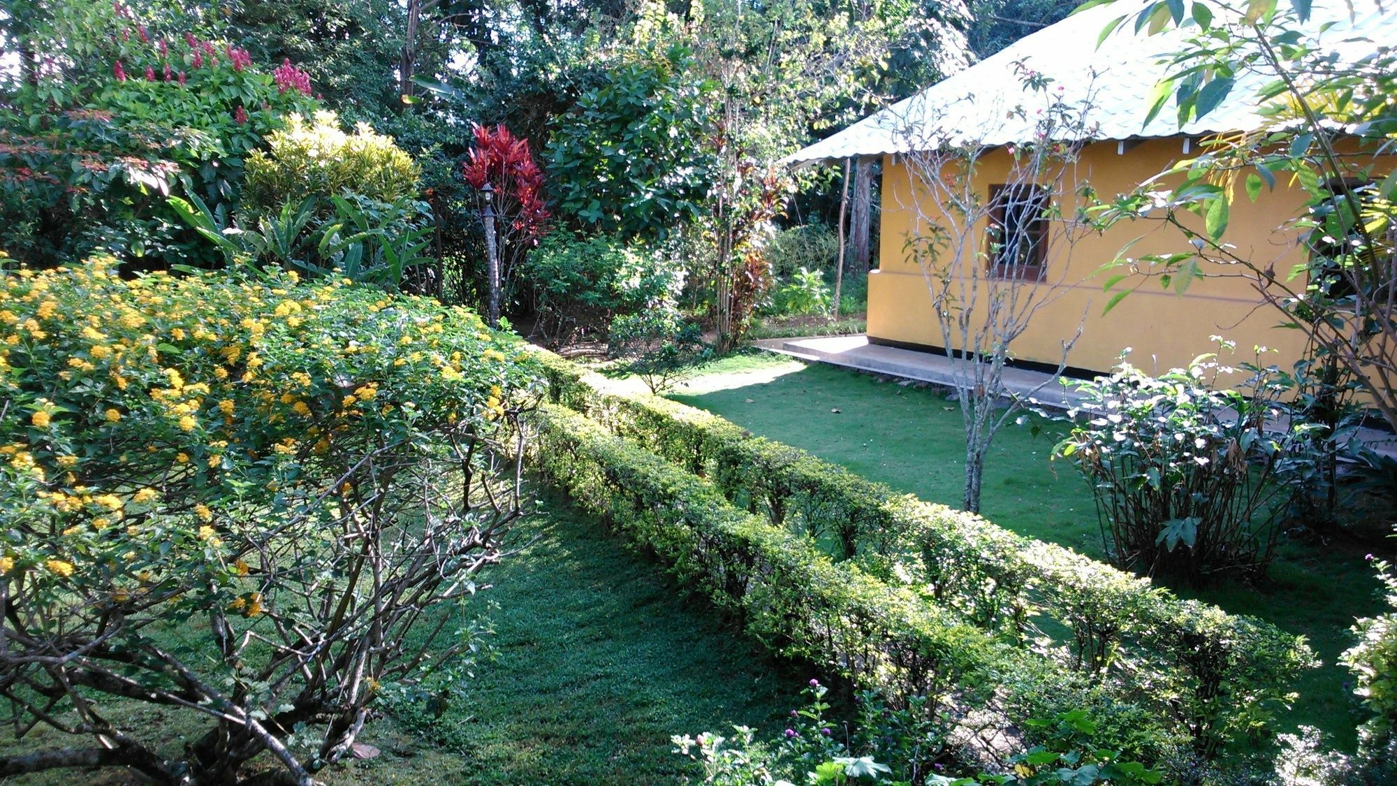 Sunnyside Holiday Bungalow เอลลา ภายนอก รูปภาพ