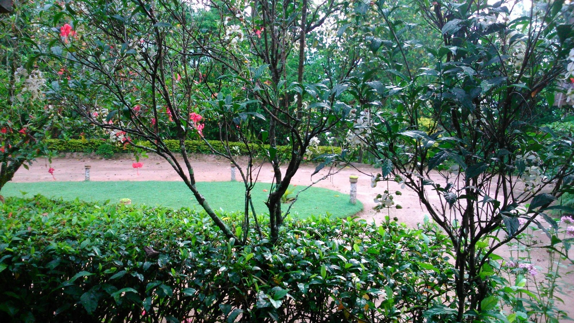 Sunnyside Holiday Bungalow เอลลา ภายนอก รูปภาพ