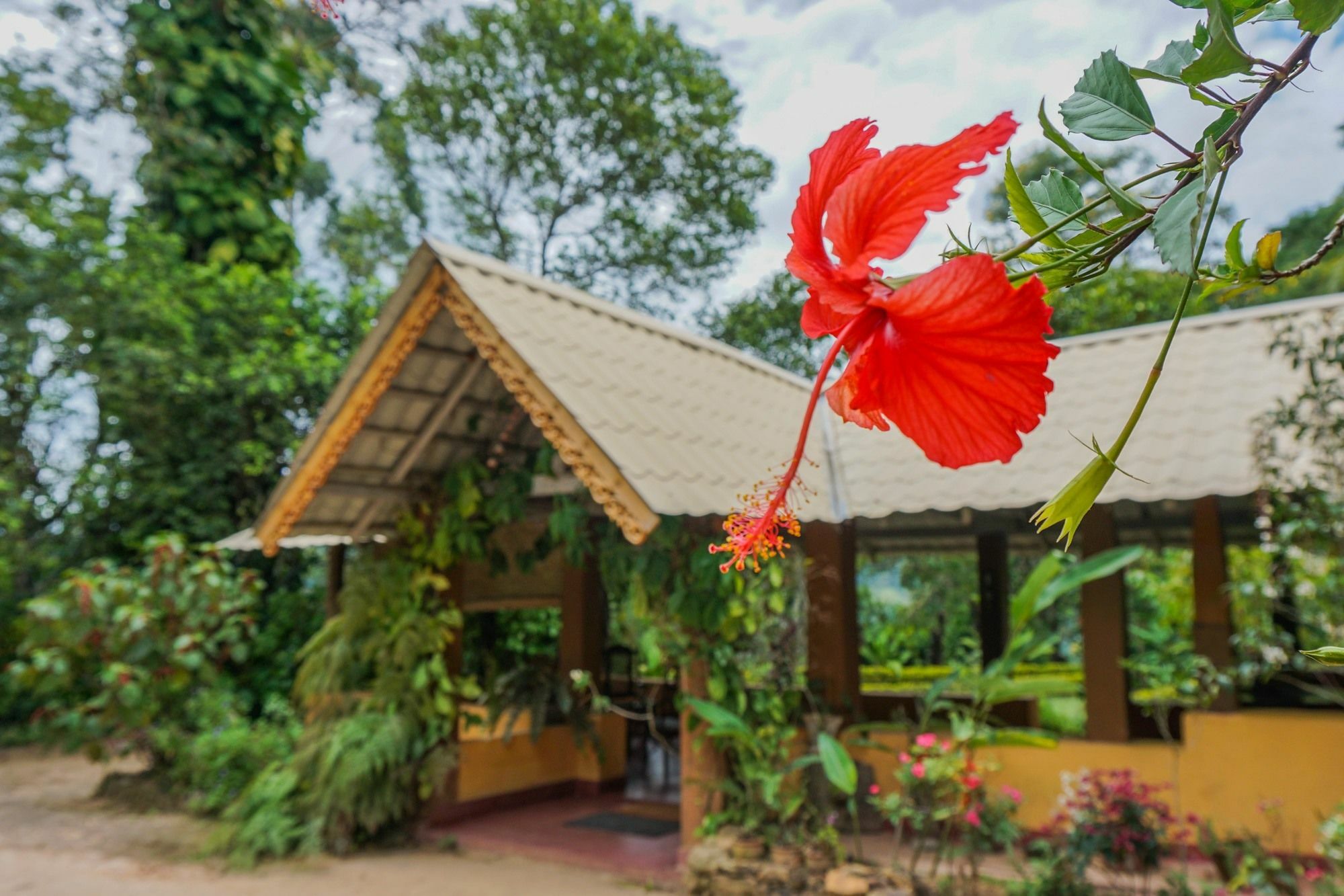 Sunnyside Holiday Bungalow เอลลา ภายนอก รูปภาพ
